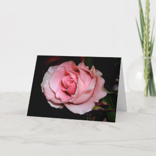 Pink Rose Card