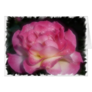 Pink Rose Cards