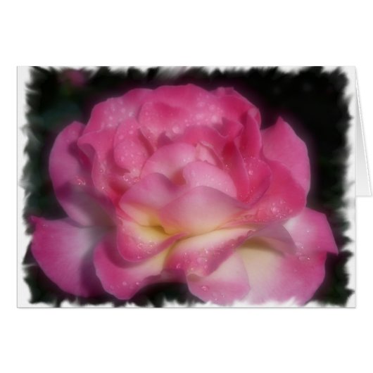 Pink Rose Cards (Front Horizontal)