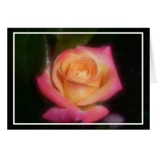 Pink Rose Cards