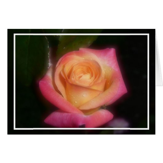 Pink Rose Cards (Front Horizontal)