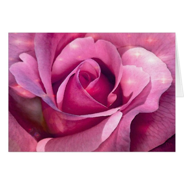 Pink Rose Cards (Front Horizontal)