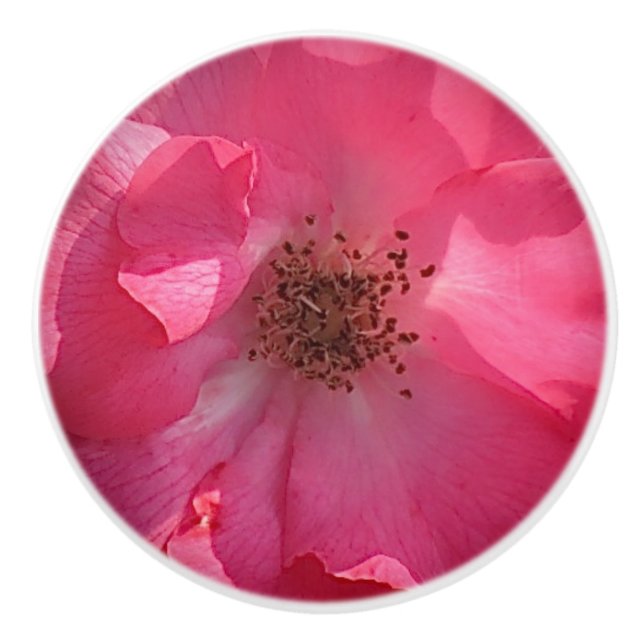 Pink Rose Ceramic Knob (Front)