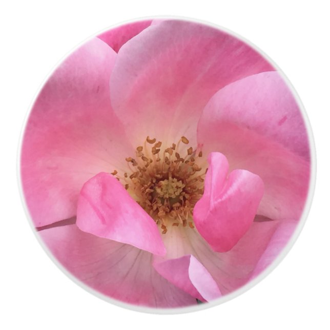 Pink Rose Ceramic Knob (Front)