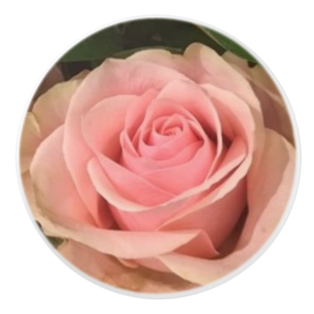 Pink Rose Ceramic Pull (Front)