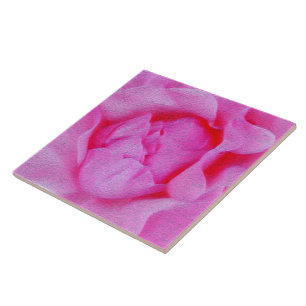 pink rose ceramic tile