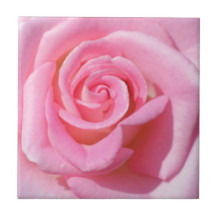 Pink Rose Ceramic Tile