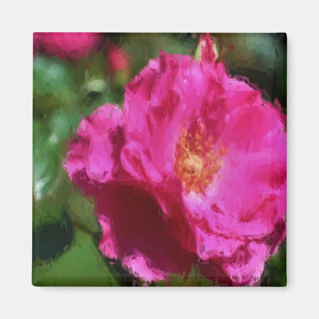 Pink Rose Chalk Drawing Flower Magnet (Front)