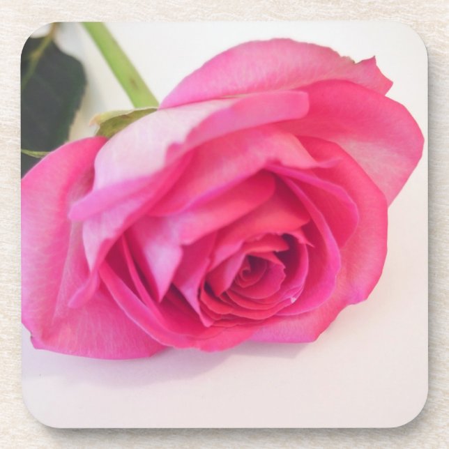 Pink Rose Coaster (Front)