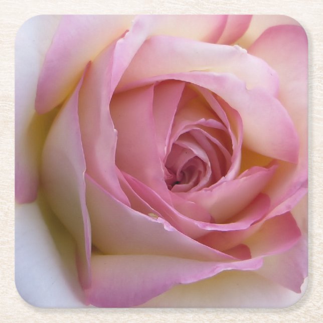 Pink Rose Coaster (Front)