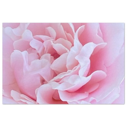 Pink Rose Decoupage Tissue Paper