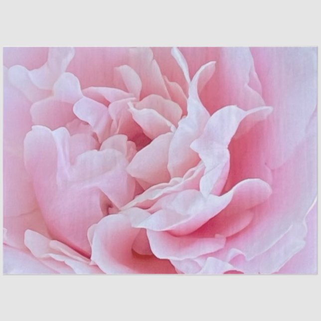 Pink Rose Decoupage Tissue Paper (Front)