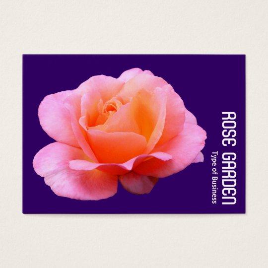 Pink Rose (Deep Purple) Business Card