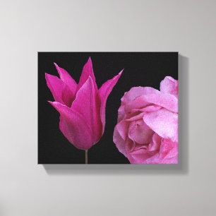 Pink rose Dutch tulip flower modern digital floral Canvas Print