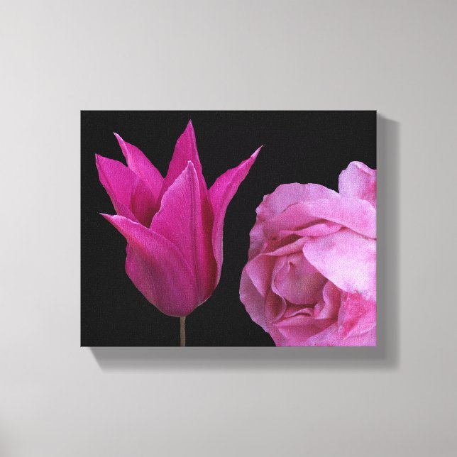 Pink rose Dutch tulip flower modern digital floral Canvas Print (Front)
