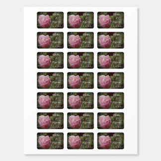 Pink Rose Elegant Sticker Matchboxes