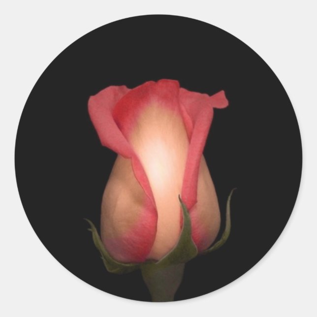 Pink Rose Envelope Seals (Front)