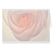 Pink Rose Eye (Front Horizontal)