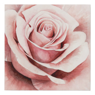 Pink Rose Faux Canvas Print