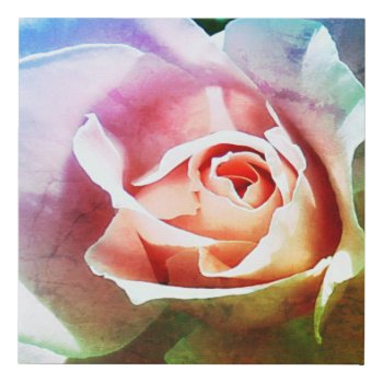 Pink Rose Faux Wrapped Canvas Print by ForEverProud at Zazzle