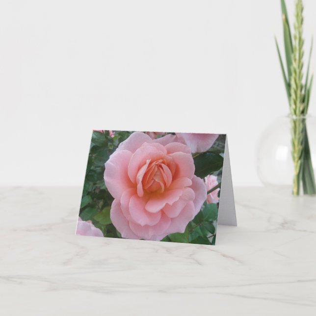  Pink Rose Fine Art Photography Folded Note Card  (Front)