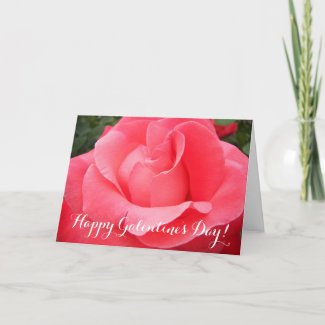 Pink Rose Floral Galentine's Day