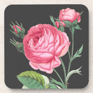 Pink rose floral modern beverage coaster
