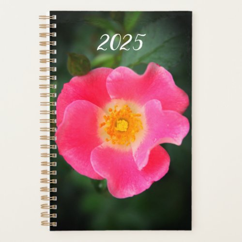 Pink Rose Floral Photo 2025 Planner