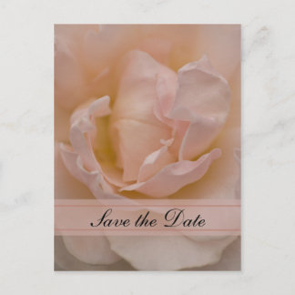 Pink Rose Floral Quinceañera Save the Date Announcement Postcard