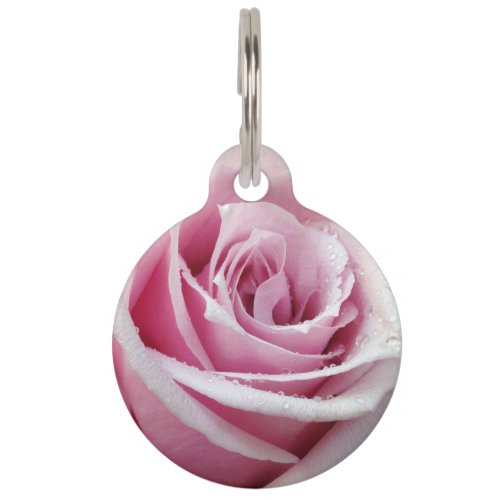 Pink Rose Floral Round Pet Tag SMLG