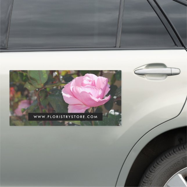 Pink Rose, Floristry Car Magnet (In Situ)