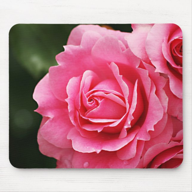 Pink Rose Flower Bloom Mouse Pad (Front)