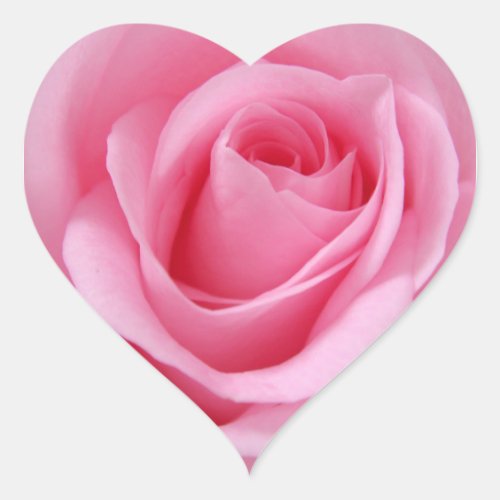 Pink rose flower close up picture heart sticker