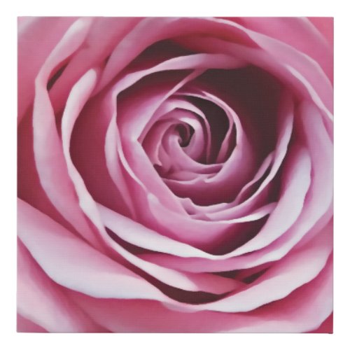 Pink rose flower closeup faux canvas print