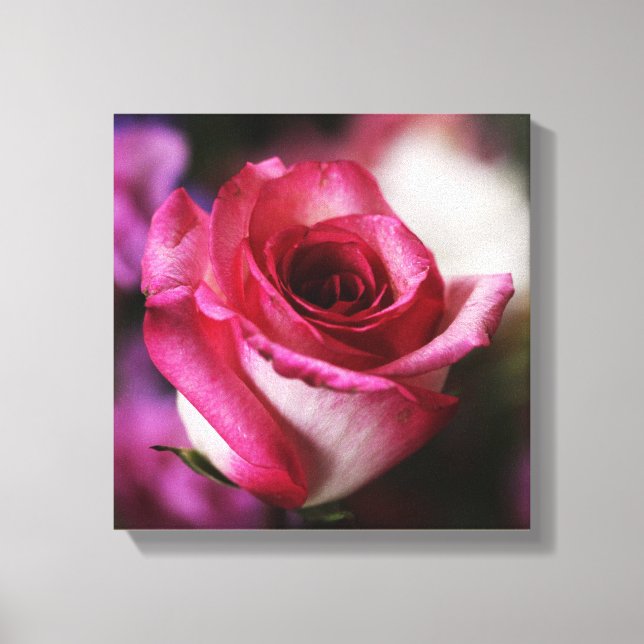 Pink Rose Flower Floral Canvas Print (Front)
