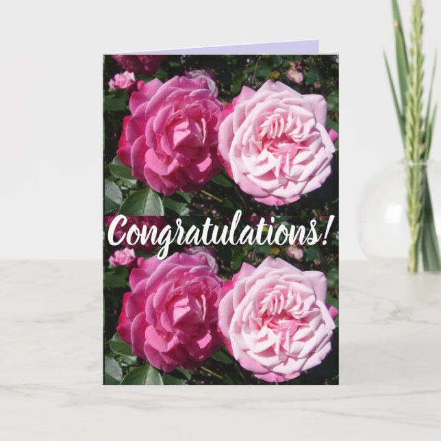 Pink Rose Flower Floral Conrgatulations art Card (Front)