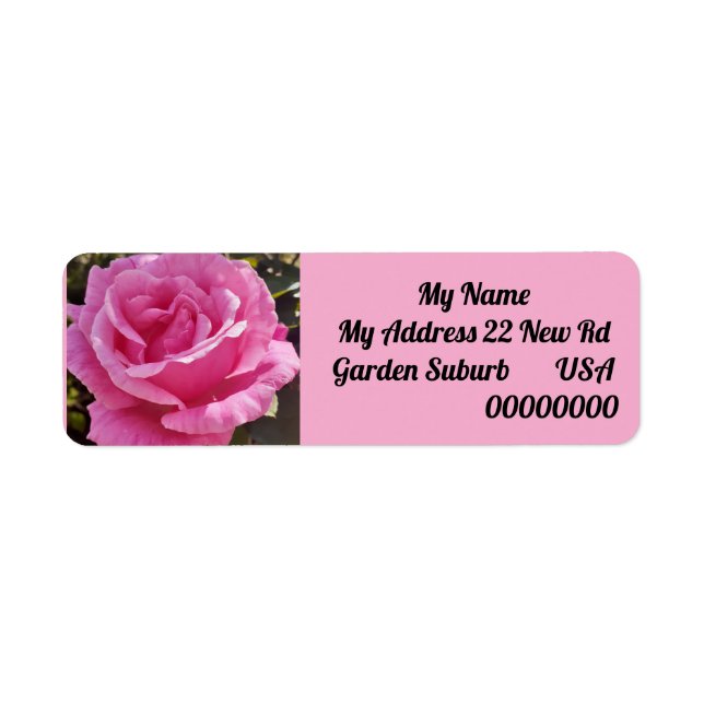 Pink Rose Flower Floral Return Address Labels (Front)