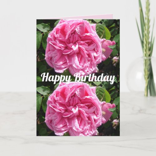 Pink Rose Flower Floral Vintage Roses Card