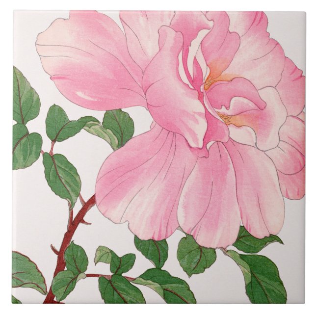 Pink Rose Flower & Green Leaves Ceramic Tile (Front)