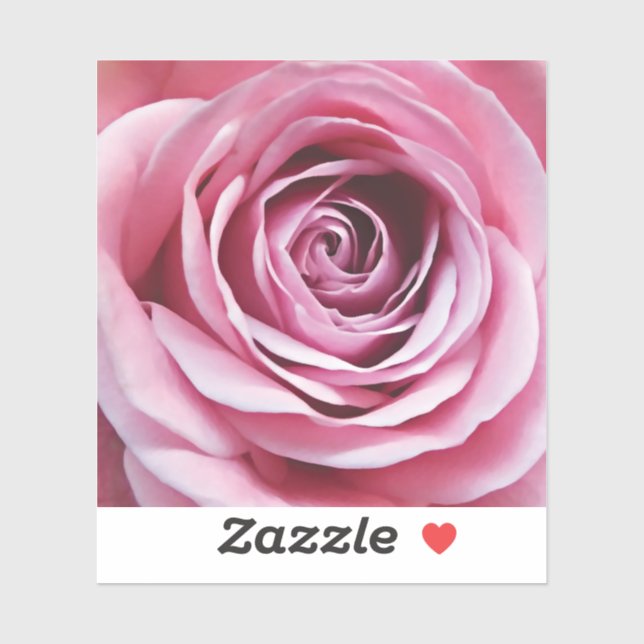 Pink Rose flower in bloom garden Sticker (Sheet)