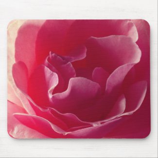 Pink Rose flower, Mousepad