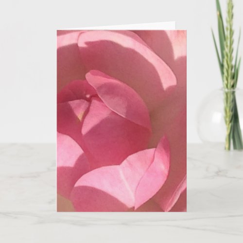 Pink Rose Flower Photo Blank Greeting Card