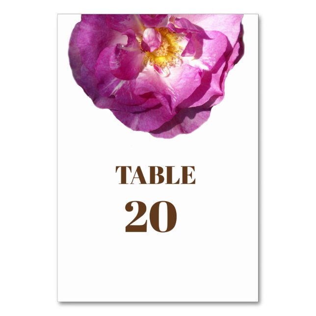Pink Rose flower  Photo Card Tablecard, Basic (Front)