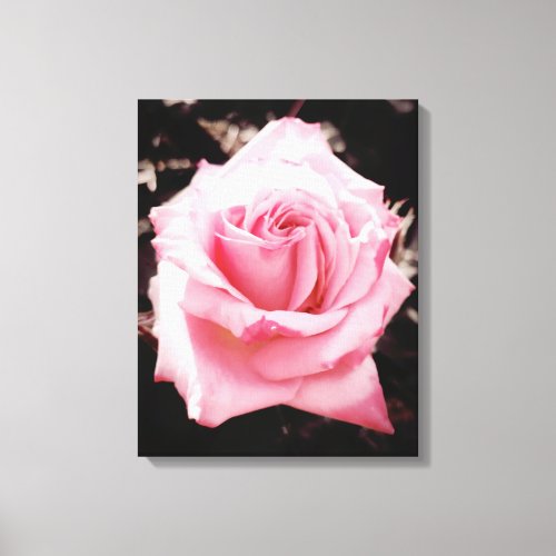 Pink Rose Flower Photo Floral Photography  Canvas Print