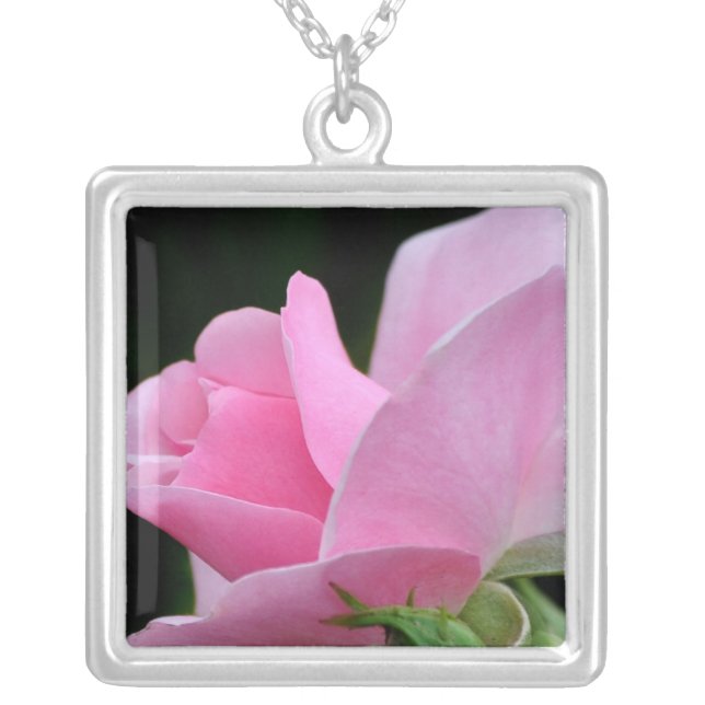 Pink Rose Flower Silver Plated Necklace (Front)