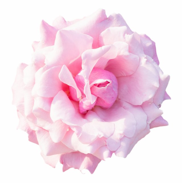 Pink rose flower statuette (Front)