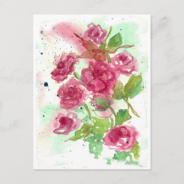 Pink Rose Flower Watercolor Floral Art Postcard (Front)