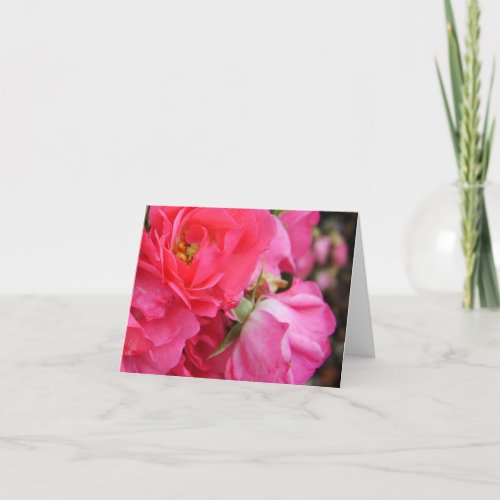 Pink rose flowers blank greeting card