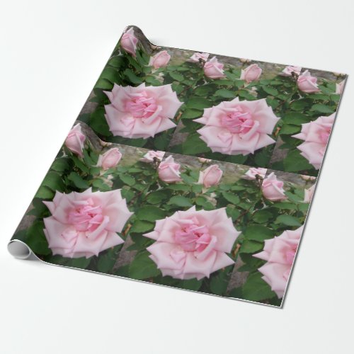 Pink Rose flowers floral garden Wrapping Wrapping Paper