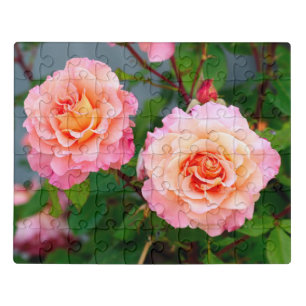 Pink rose flowers in a garden postcard poster jigsaw puzzle
